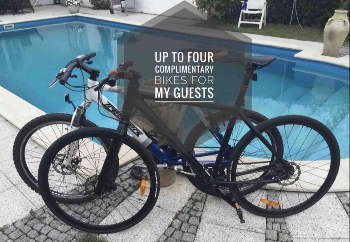 Appartamento B Our Guest At New Flat Nearby Dresden !!!Pool!!! Frauendorf  Esterno foto